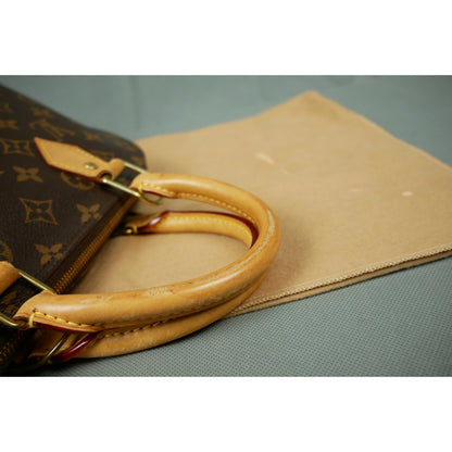 Louis Vuitton Alma PM Handbag