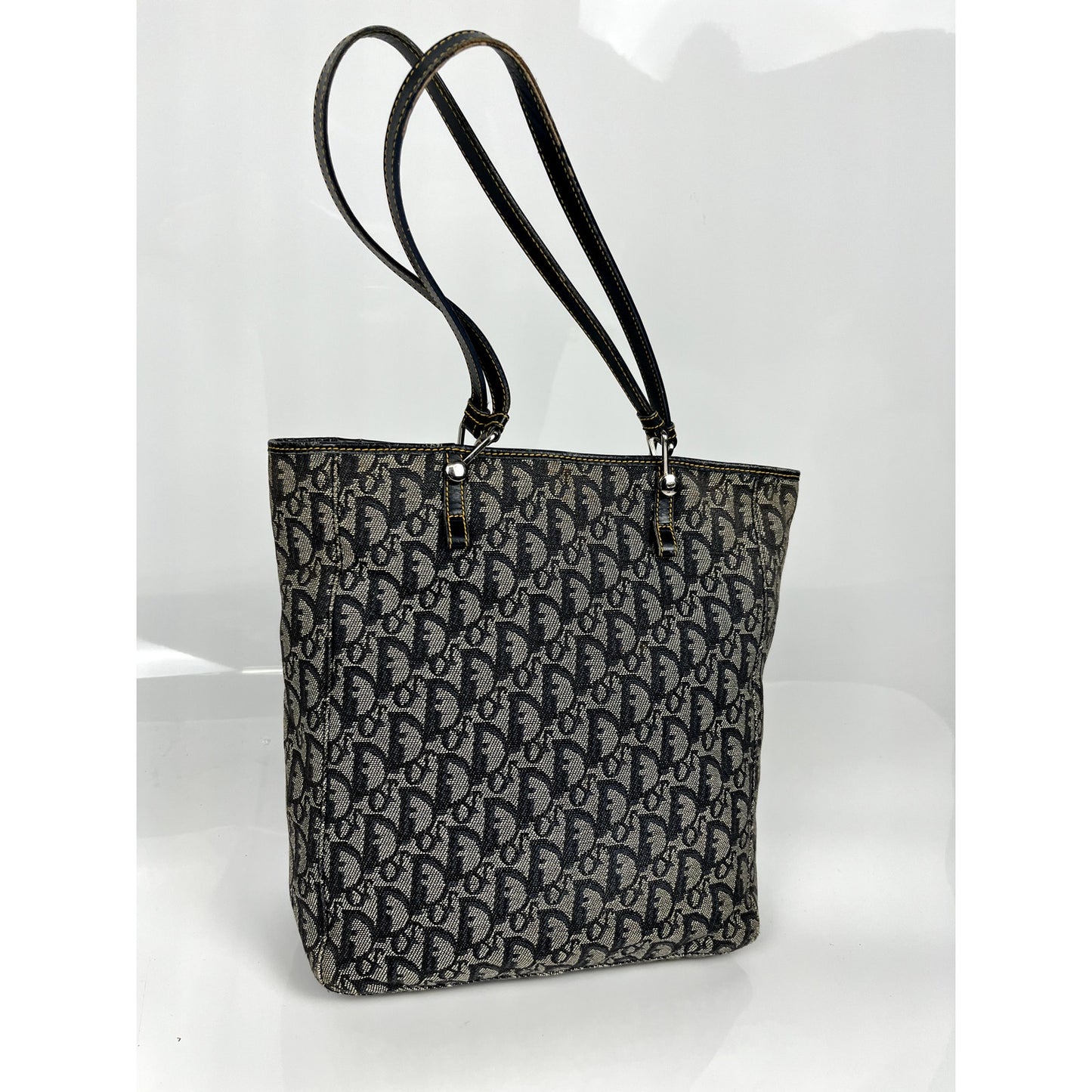 Dior Trotter Monogram Canvas Tote Bag